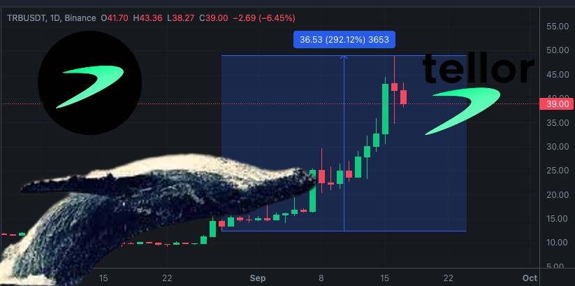 预言机TRB暴涨巨鲸买入流通量34％！血赚2000%资金费率-第1张图片-旋风百科