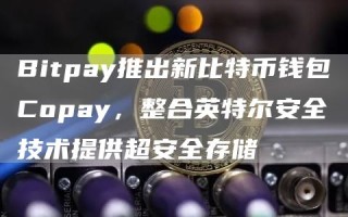 Bitpay推出新比特币钱包Copay 整合英特尔安全技术提供超安全存储