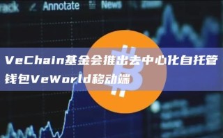 VeChain基金会推出去中心化自托管钱包VeWorld移动端