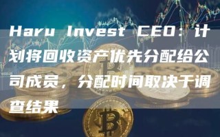 Haru Invest CEO：计划将回收资产优先分配给公司成员，分配时间取决于调查结果