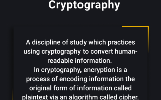 Crypto词条百科：2023年最新区块链术语、Web3俚语、社区热梗