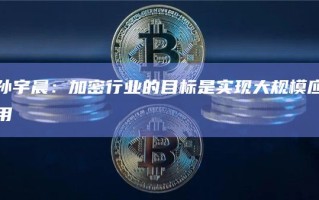 孙宇晨：加密行业的目标是实现大规模应用