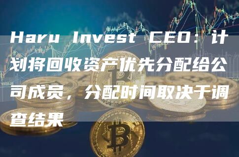 Haru Invest CEO：计划将回收资产优先分配给公司成员，分配时间取决于调查结果-第1张图片-旋风百科