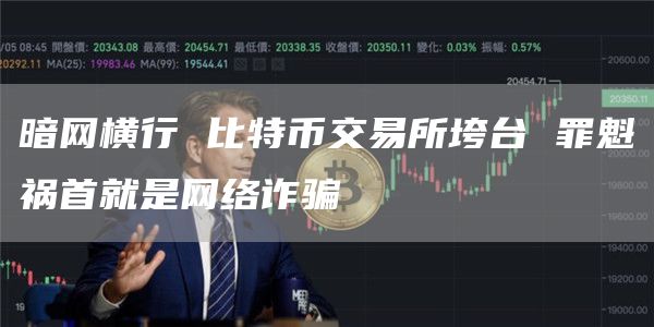 暗网横行 比特币交易所垮台 罪魁祸首就是网络诈骗-第1张图片-旋风百科