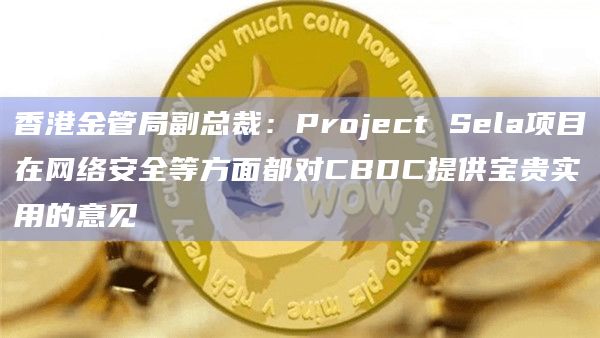 香港金管局副总裁：Project Sela项目在网络安全等方面都对CBDC提供宝贵实用的意见-第1张图片-旋风百科