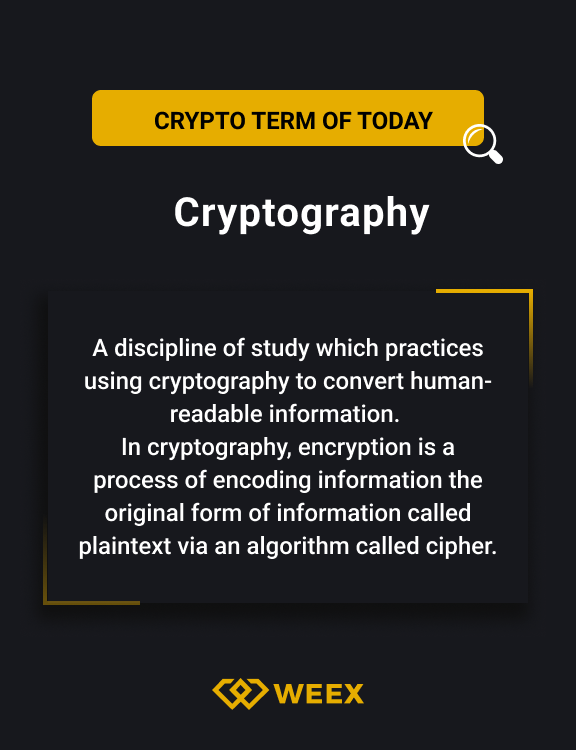 Crypto词条百科：2023年最新区块链术语、Web3俚语、社区热梗-第1张图片-旋风百科