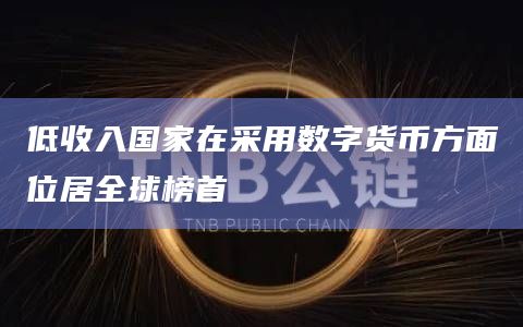 低收入国家在采用数字货币方面位居全球榜首-第1张图片-旋风百科