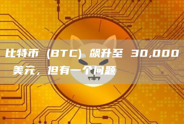 比特币 (BTC) 飙升至 30,000 美元，但有一个问题-第1张图片-旋风百科