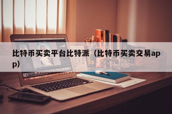 比特派app提示需要啟用開發者助手